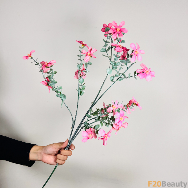 Làn sóng màu hồng Blush: Hoa mộc qua Chaenomeles rực rỡ trong ánh nắng ban mai