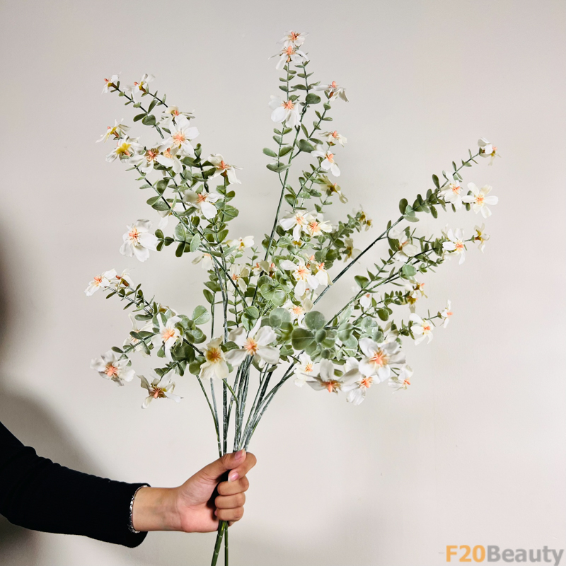 Sắc Trắng Tinh Tế: Hoa Mộc Qua Chaenomeles