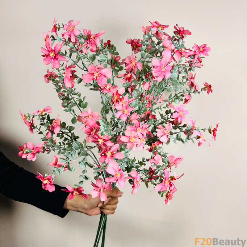 Hoa mộc qua Chaenomeles màu hồng nhạt - Biểu tượng của sự thanh khiết và tươi mới