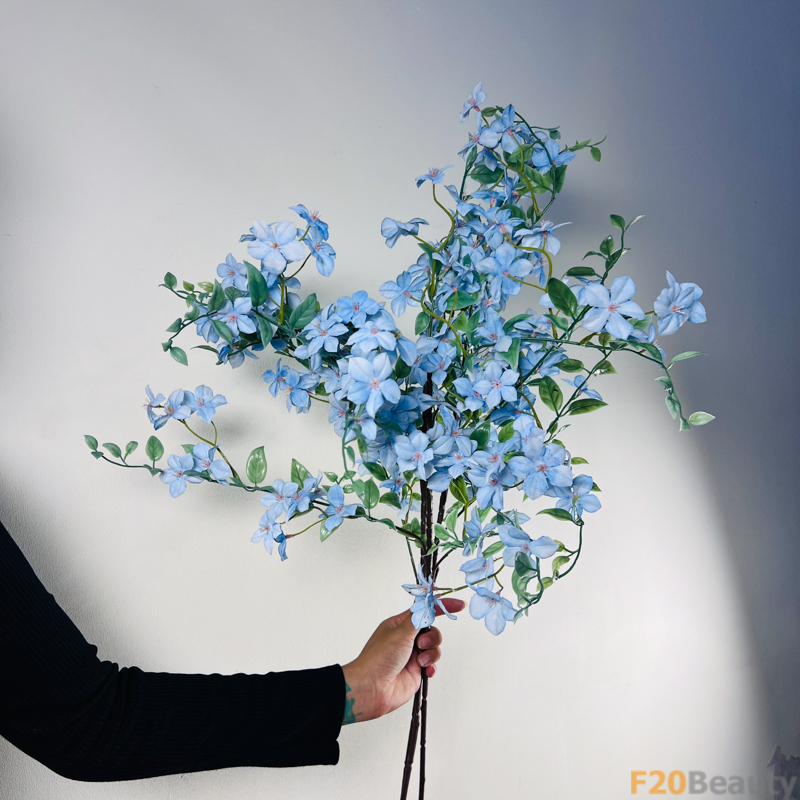 Thanh Liễu Xanh: Bức Tranh Tự Nhiên Thanh Lọc