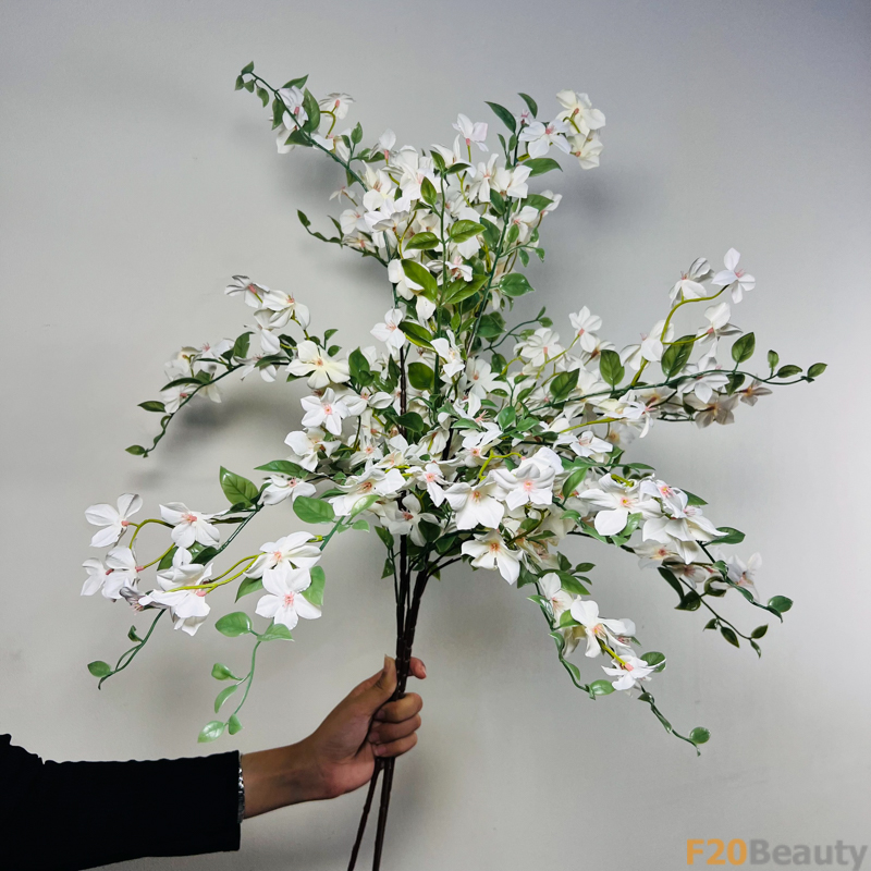 Hoa thanh liễu màu trắng