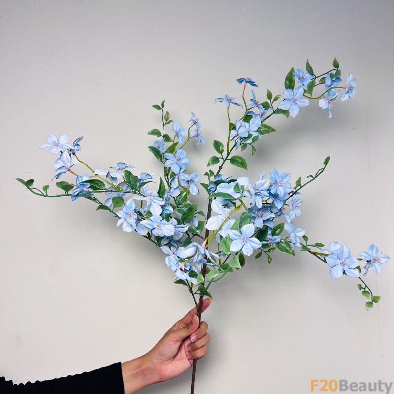 Hoa thanh liễu xanh biển