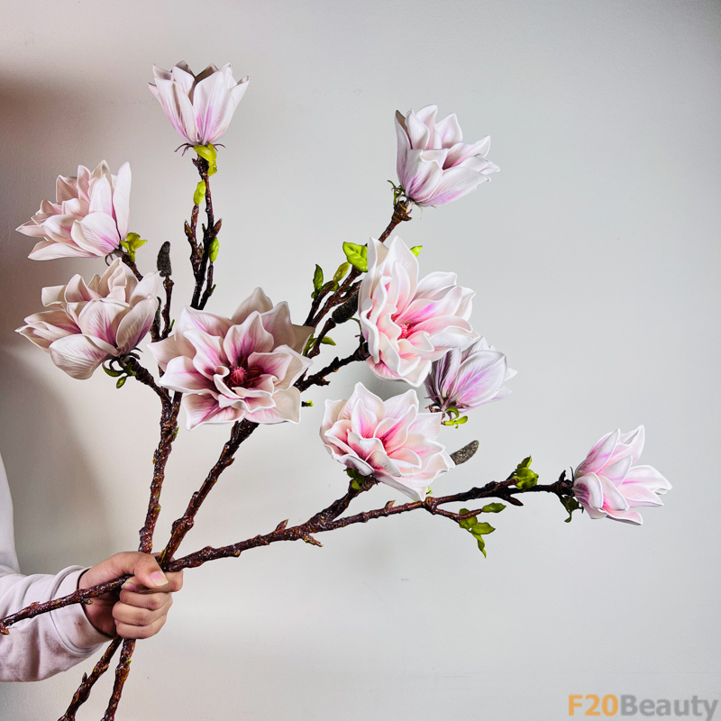 Hoa mộc lan màu hồng tím - Biểu tượng cho sự dịu dàng, nữ tính của phải đẹp