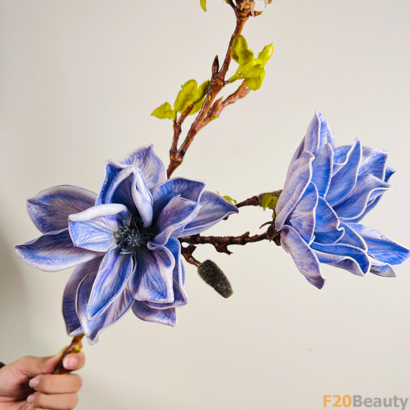 Hoa mộc lan màu tím