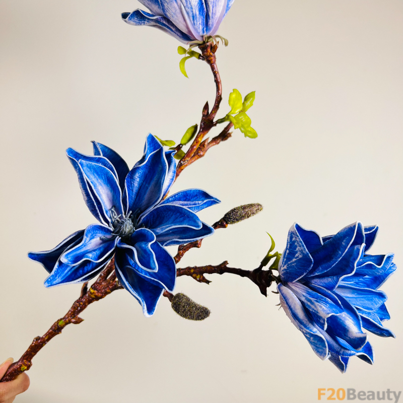 Hoa mộc lan màu xanh tím