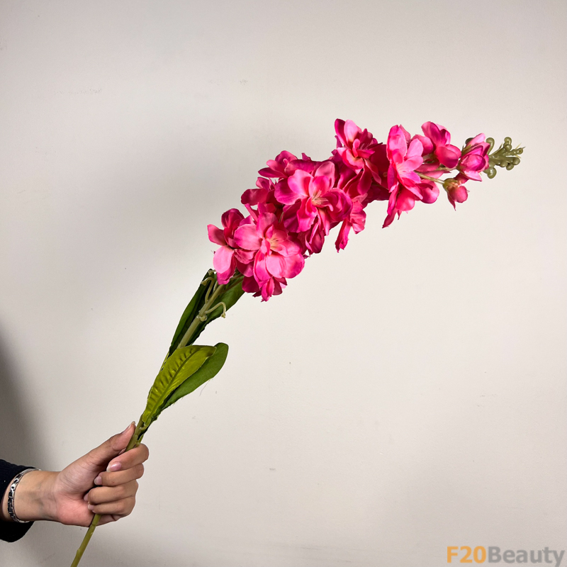 Đẹp Tự Nhiên: Hoa Mõm Sói Màu Hồng Tươi Sáng