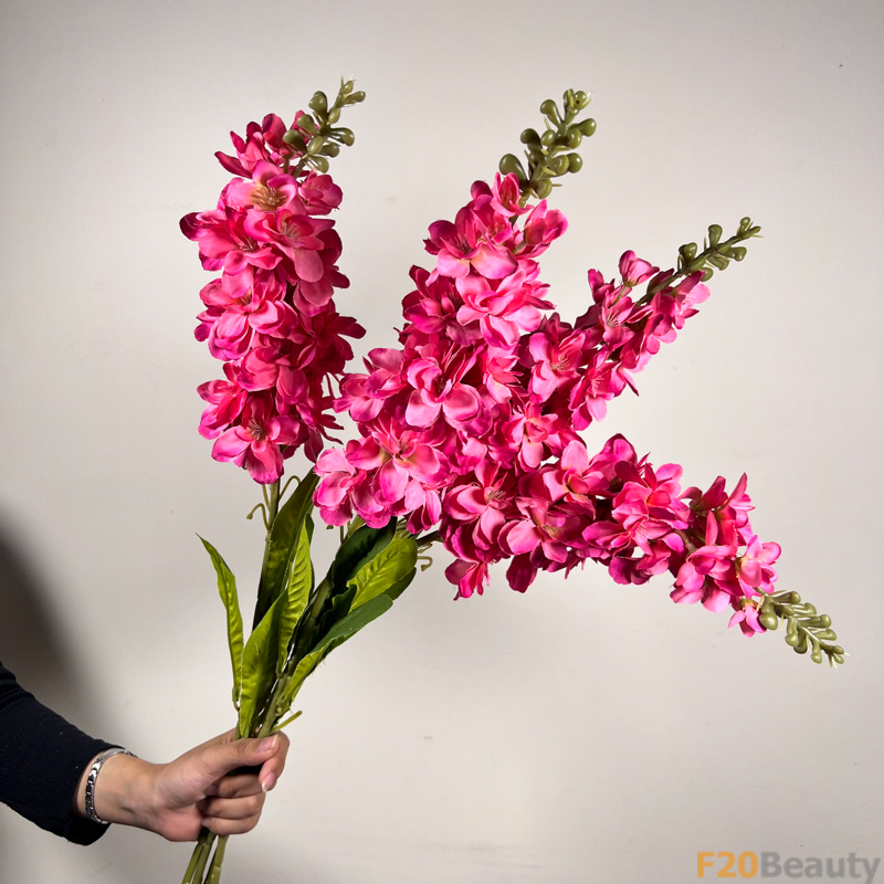 Snapdragons Hồng: Sắc Màu Nồng Nàn Nở Rộ