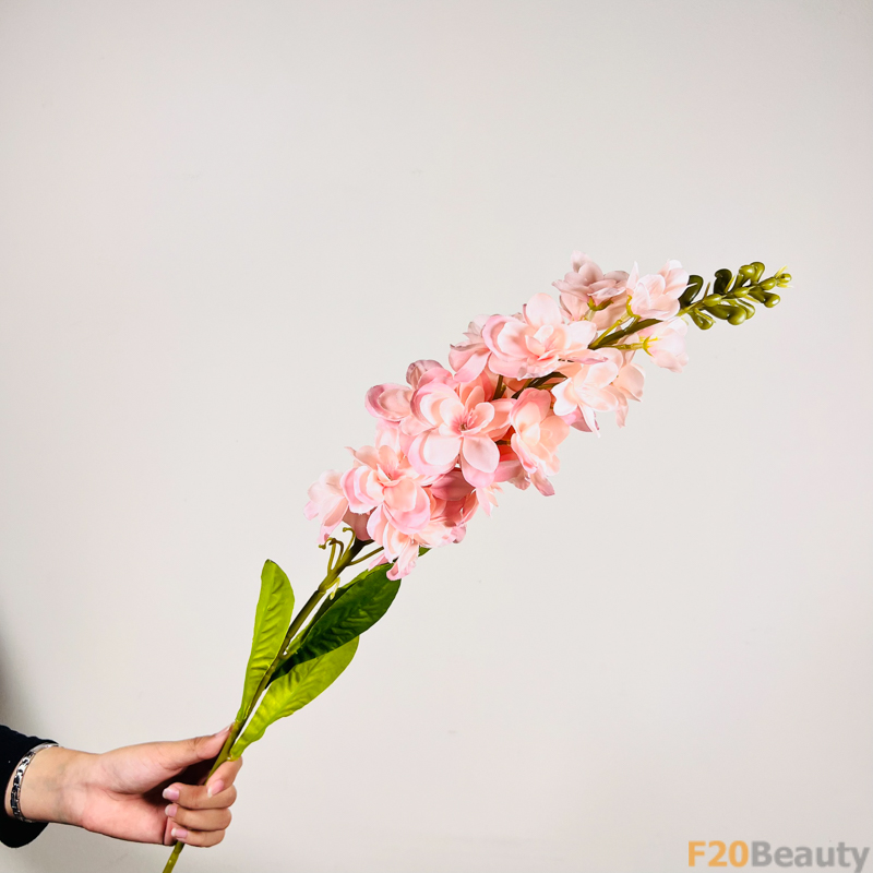 Nét Dịu Dàng: Snapdragons Hồng Nhạt Tinh Tế