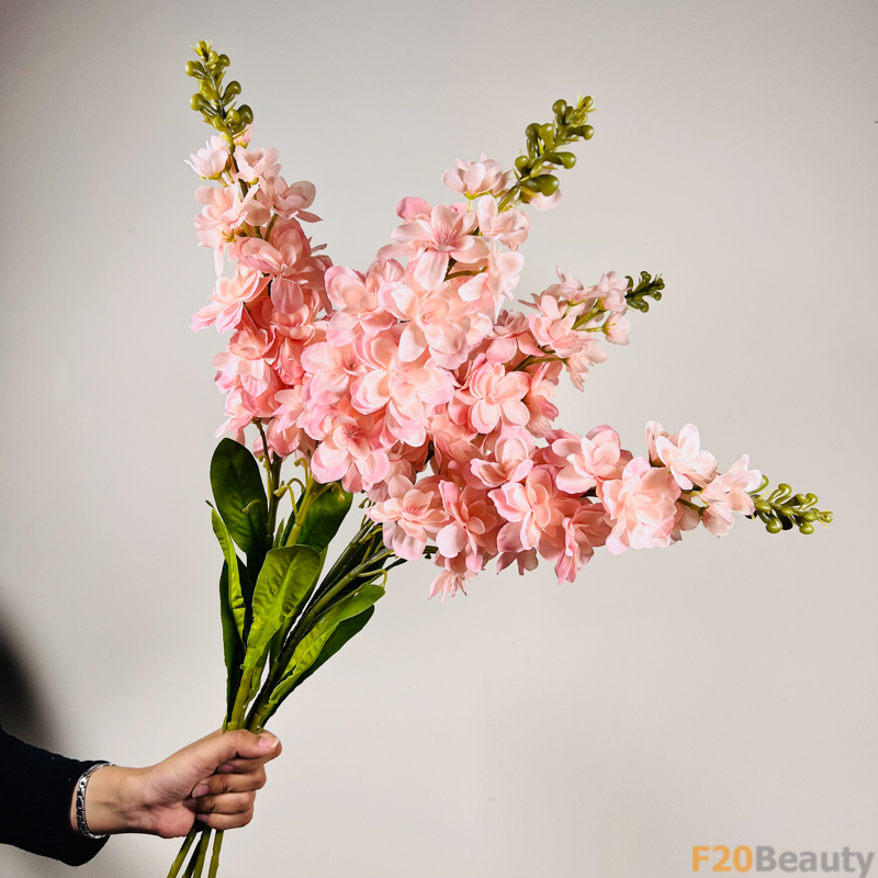 Tinh Tế và Dịu Dàng: Hoa Mõm Sói Màu Hồng Nhạt