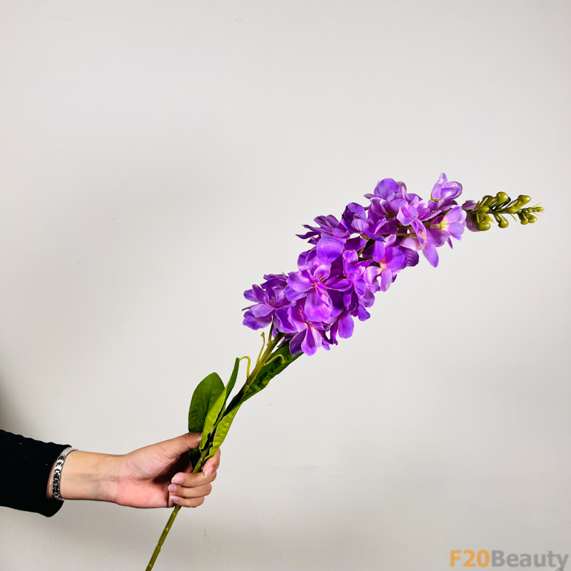 Tinh Khoảnh Khắc Tím: Snapdragons Tinh Tế