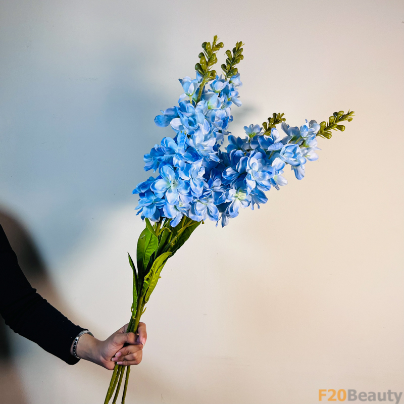 Sắc Xanh Tươi: Hoa Mõm Sói Làm Sáng Bước Vườn