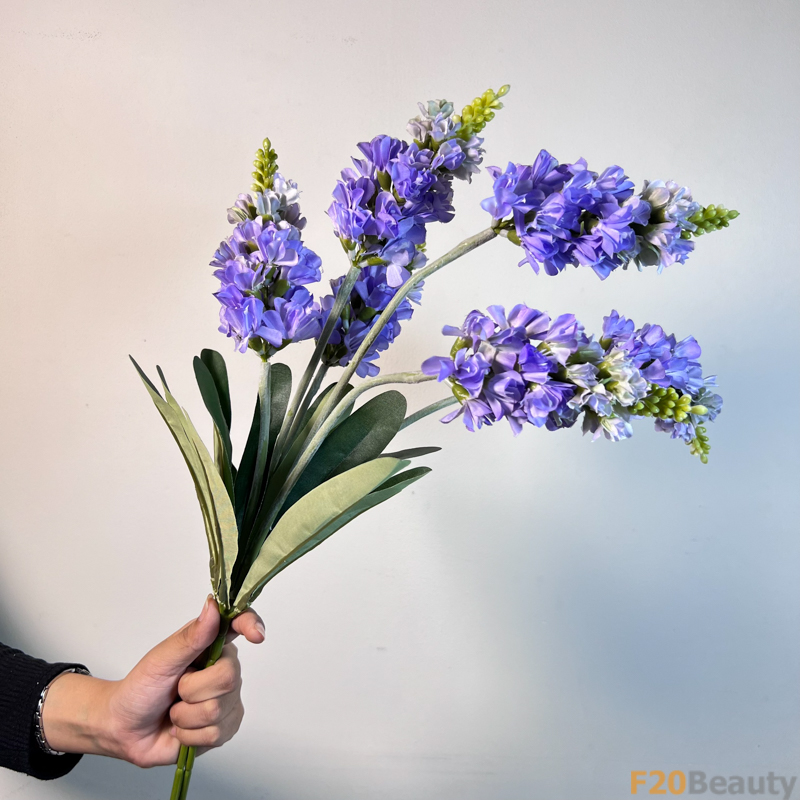 Sắc Tím Nhạt: Hoa Mõm Sói Mang Lời Mộng Mơ