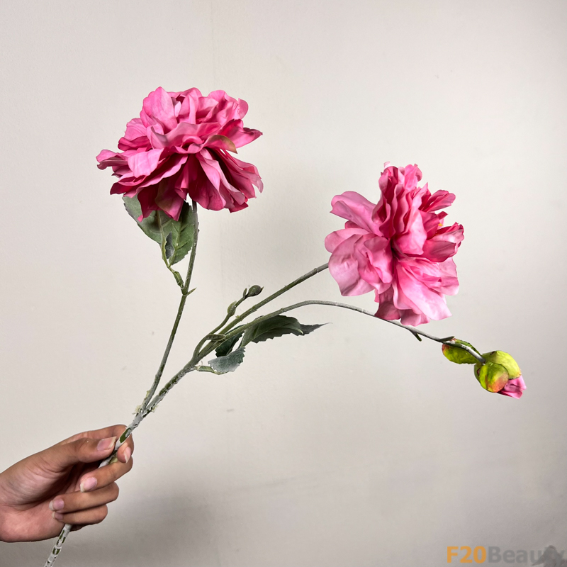 Hoa Mẫu Đơn 2 Bông 1 Nụ Hồng Đậm: Sắc Hồng Nồng Nàn