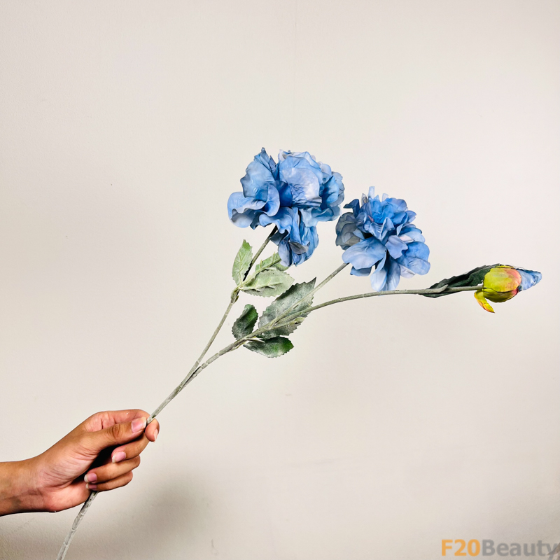 Hoa Mẫu Đơn Xanh Dương: Sự Quyến Rũ và Phong Cách