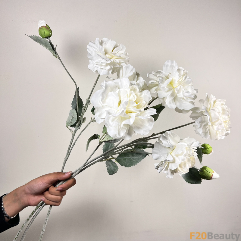 Hoa mẫu đơn 2 bông 1 nụ màu trắng