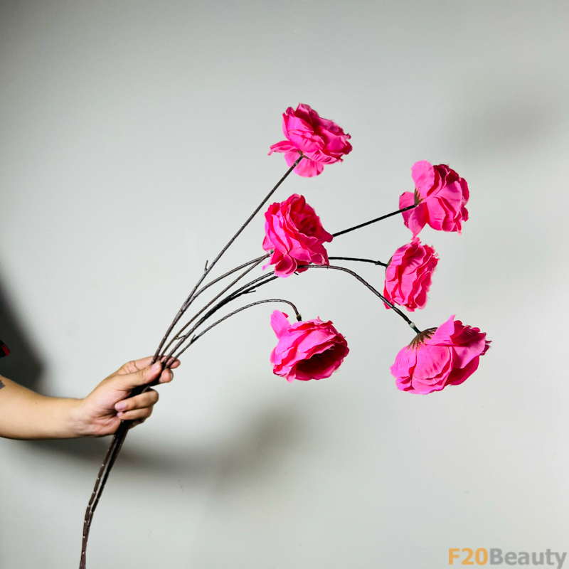 Hoa mao lương Persian màu hồng đậm