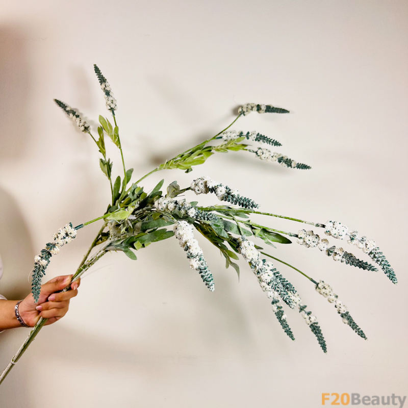 Hoa Lavender Trắng: Vẻ Đẹp Tinh Tế và Dịu Dàng