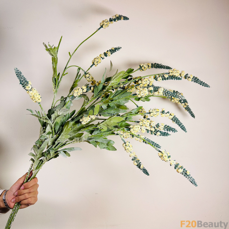 Hoa Lavender Vàng: Sự Nổi Bật và Lôi Cuốn