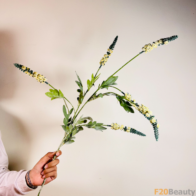 Hoa Lavender Vàng: Sự Tươi Mát Tinh Khiết