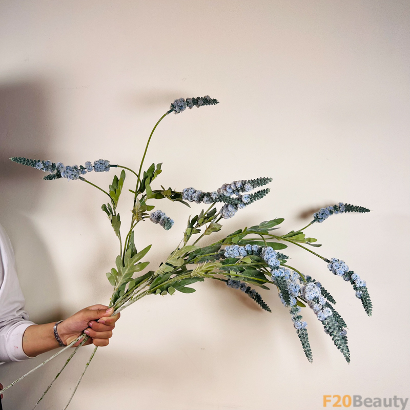 Lavender Xanh Dương: Sự Phấn Khích và Mê Hoặc Trong Vườn