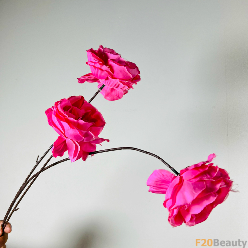 Hoa Mao Lương: Vẻ Đẹp Hoang Dã Trong Tĩnh Lặng