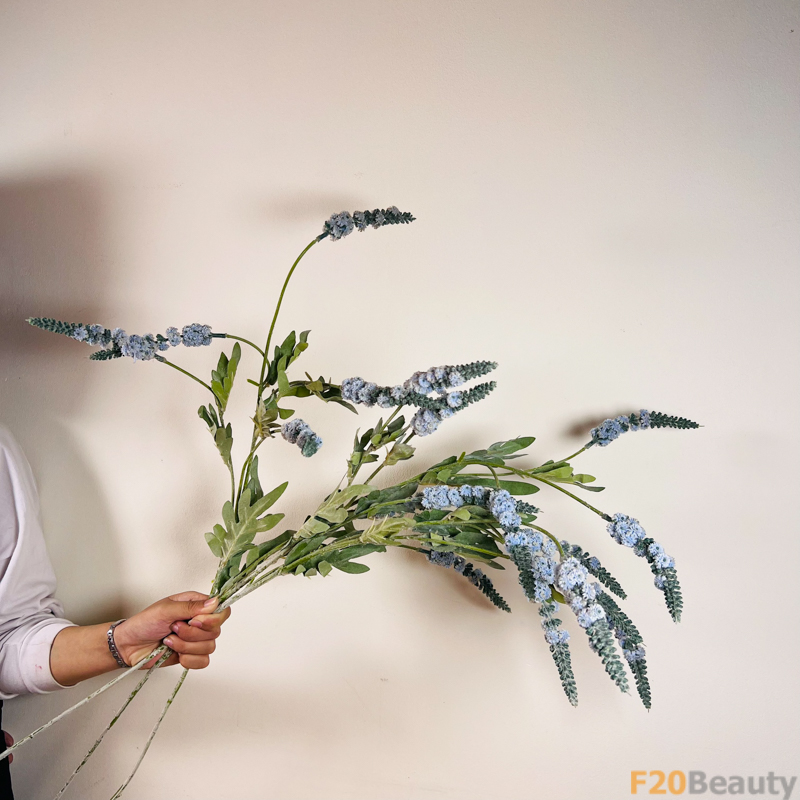 Hoa lavender xanh tím