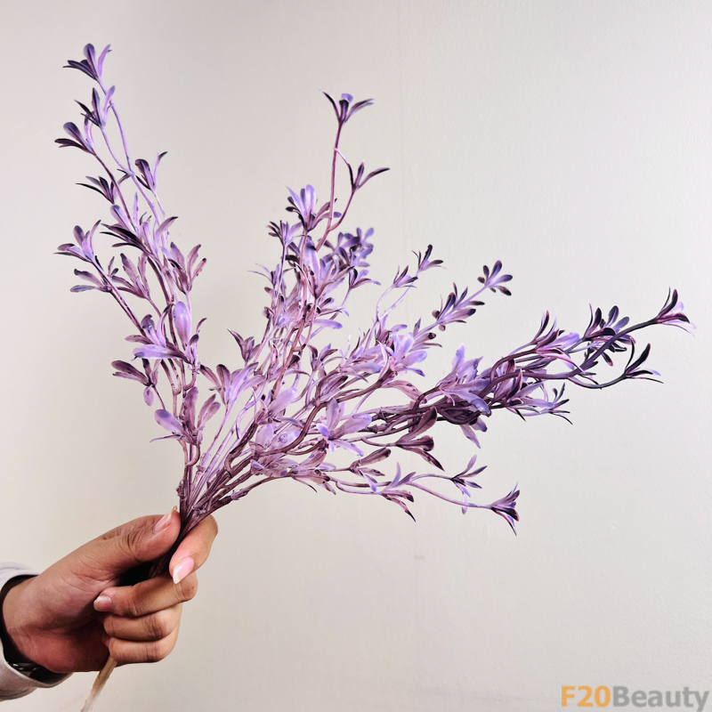 Lan Moraka Tím: Sắc Hoa Quyến Rũ Trong Tĩnh Lặng