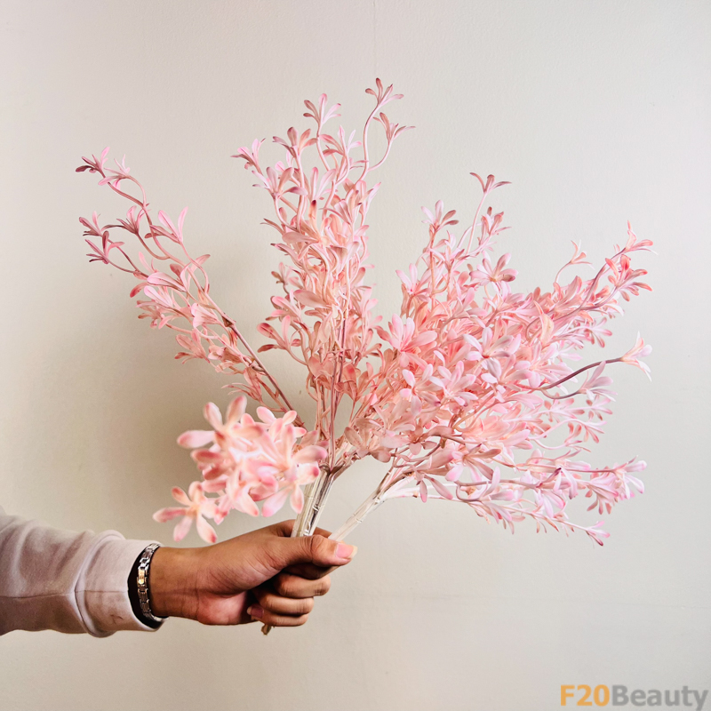 Hoa Lan Moraka Hồng: Vẻ Đẹp Mộc Mạc và Quyến Rũ