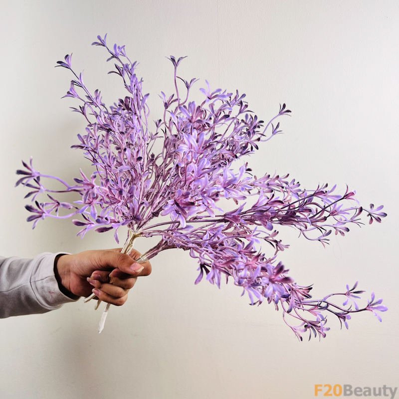 Hoa Lan Moraka Tím: Nét Đẹp Thần Bí và Tinh Khoảnh Khắc