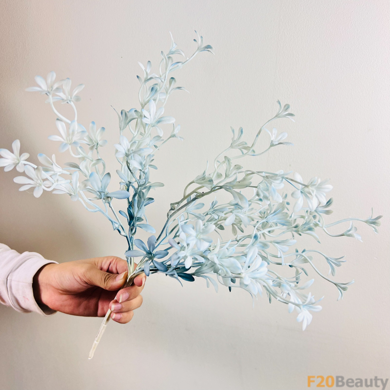 Lan Moraka Xanh: Sắc Hoa Tươi Mát Trong Sự Tinh Khiết