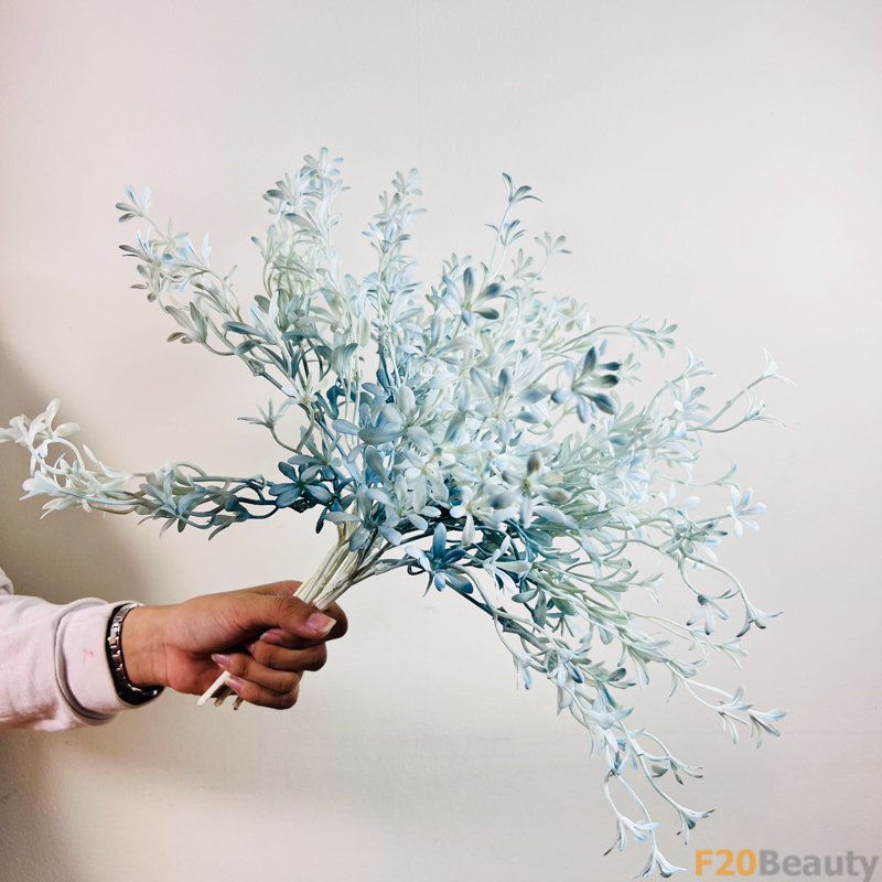 Lan Moraka Xanh: Vẻ Đẹp Độc Đáo và Quyến Rũ của Thiên Nhiên