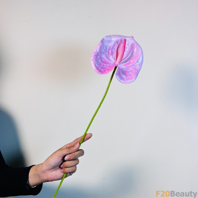 Hoa Hồng Môn Tím: Vẻ Đẹp Tinh Khoảnh Khắc và Quyến Rũ