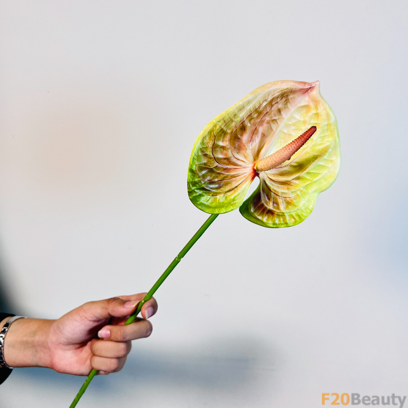 Phong Cách Độc Đáo: Hoa Hồng Môn Vàng Cam Quyến Rũ