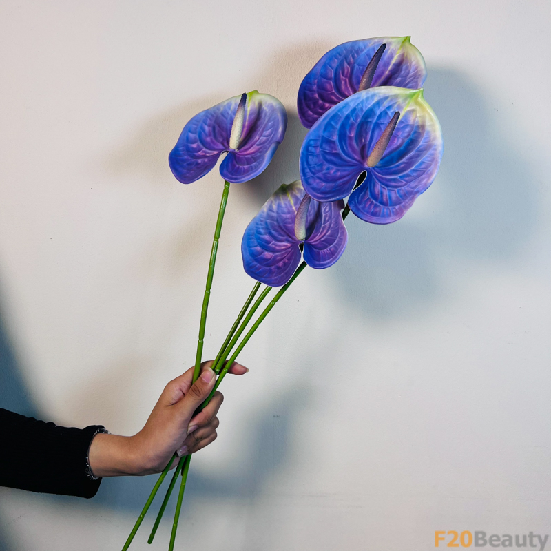 Hoa Hồng Môn Xanh Dương Đậm: Nét Đẹp Tinh Tế và Tươi Mát