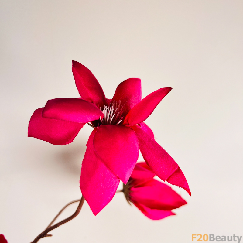 Hoa Tiên Khách: Kiêu Sa và Quý Phái