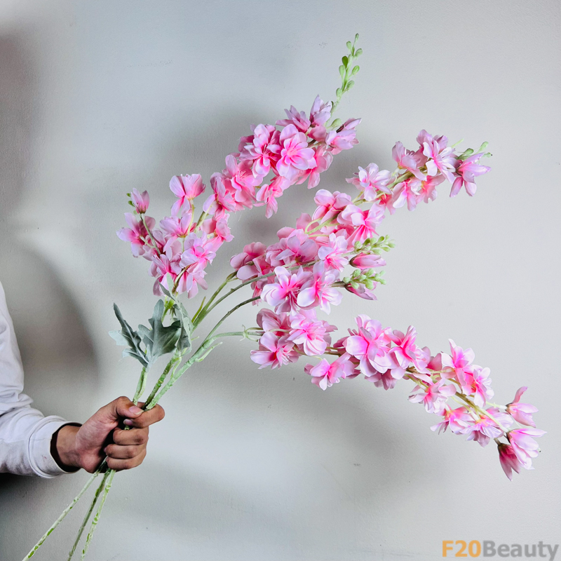 Sắc Hoa Mềm Mại: Hoa Larkspurs Hồng Nhạt Tinh Tế và Quyến Rũ