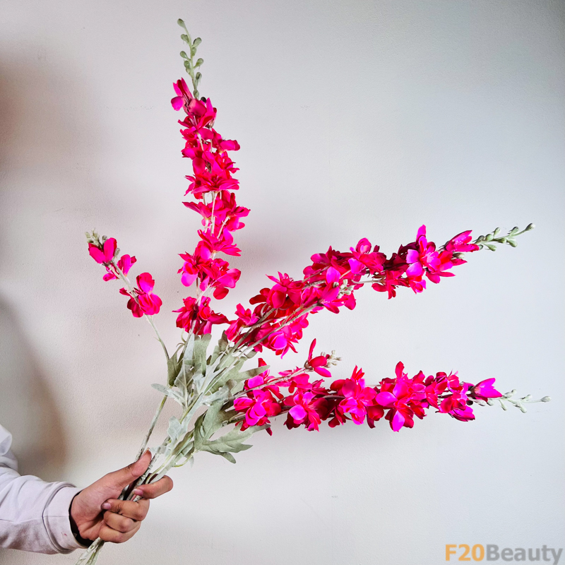 Hoa phi yến Larkspurs hồng đậm