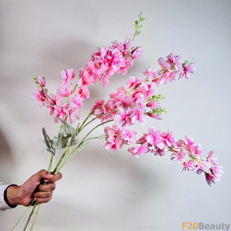 Hoa phi yến Larkspurs hồng nhạt