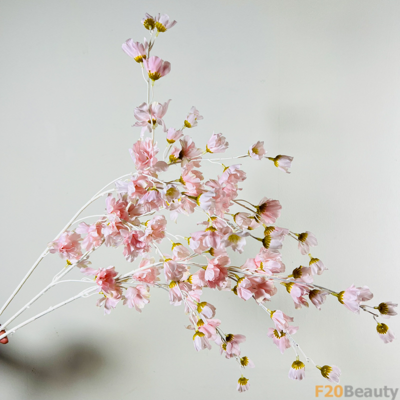 Hoa Lồng Đèn Jollies Riems Hồng Trắng: Vẻ Đẹp Tinh Tế và Tự Nhiên Trên Cành