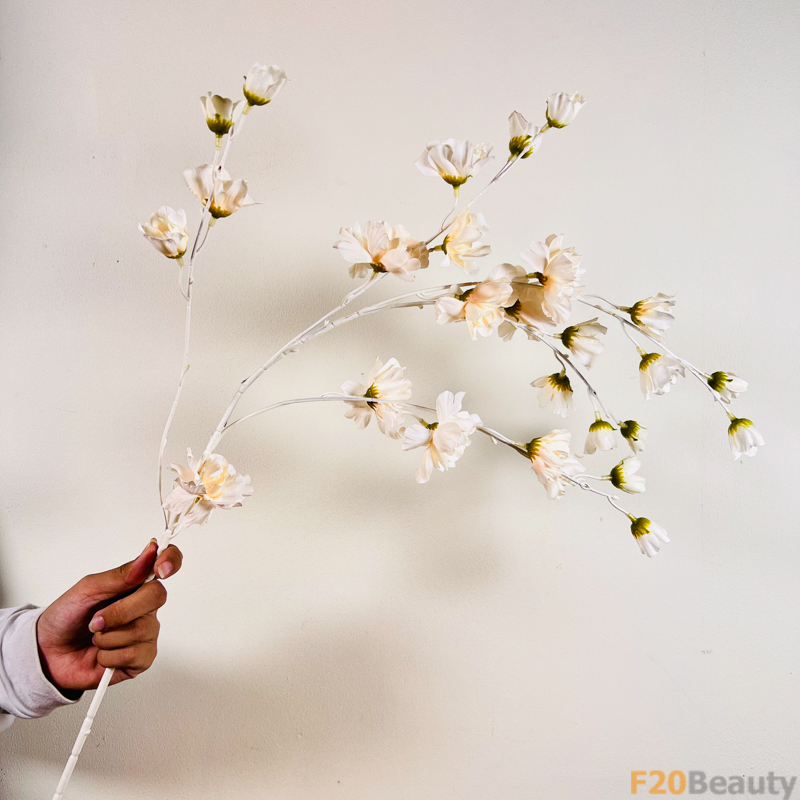 Hoa Lồng Đèn Jollies Riems Màu Be: Sự Sang Trọng và Phong Cách Tự Nhiên