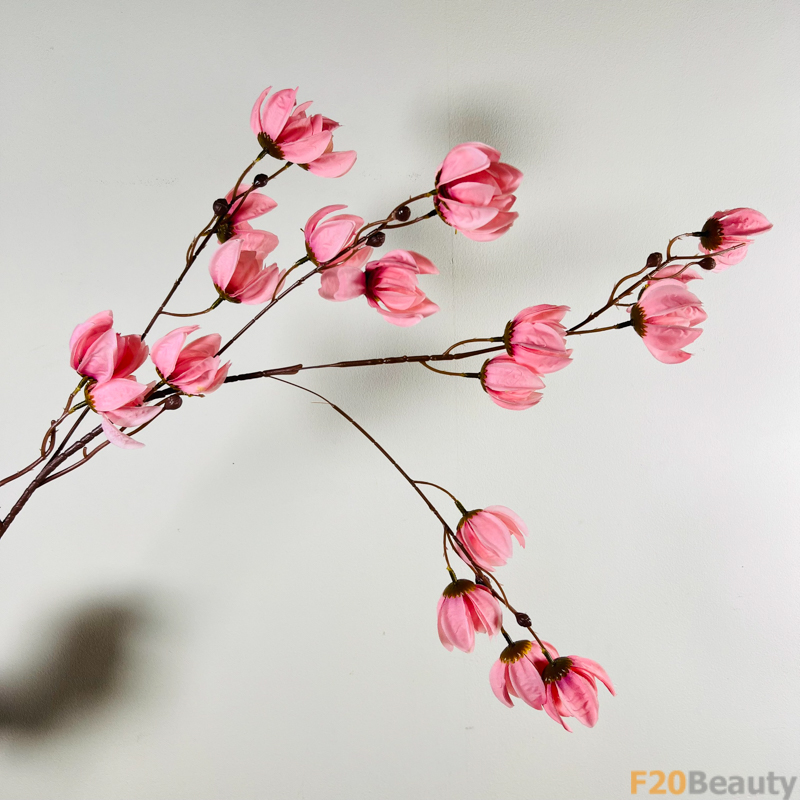 Nét Đẹp Độc Đáo: Hoa Lồng Đèn Jollies Riems Màu Hồng Nổi Bật