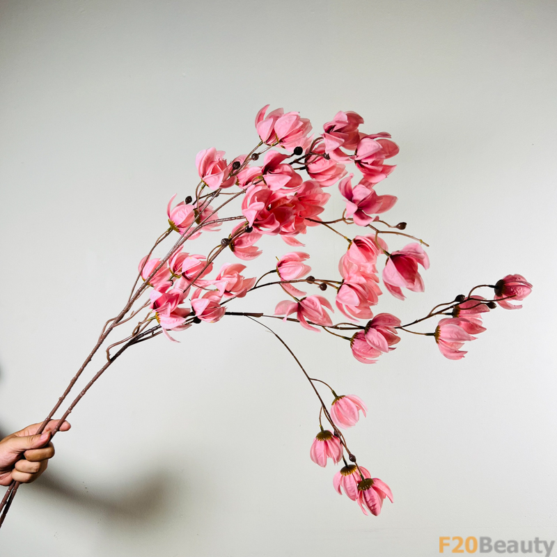 ự Tinh Khôi và Quyến Rũ: Hoa Lồng Đèn Jollies Riems Hồng Trên Cành