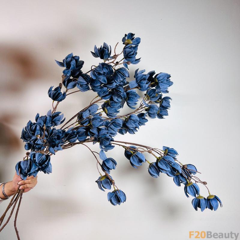 Hoa Lồng Đèn Jollies Riems Xanh Đậm: Sự Quý Phái và Tinh Tế Trong Vườn