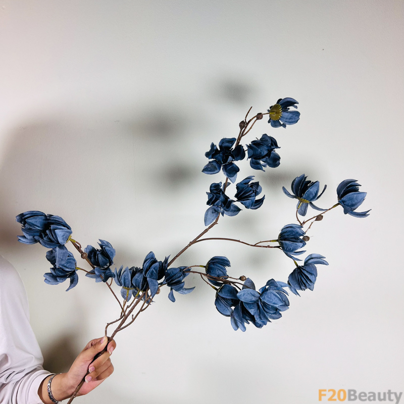 Hoa Lồng Đèn Jollies Riems Xanh Đậm: Sự Tươi Mát và Quyến Rũ Trên Cành