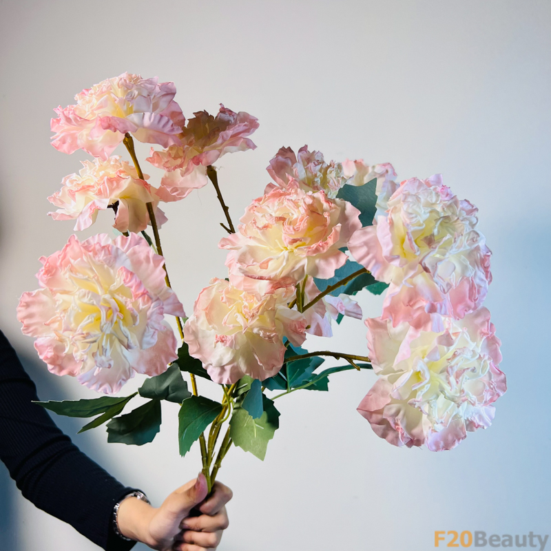 Sắc Hoa Tự Nhiên: Hoa Hồng Muscosa 4 Bông Màu Hồng Nổi Bật Trên Cành