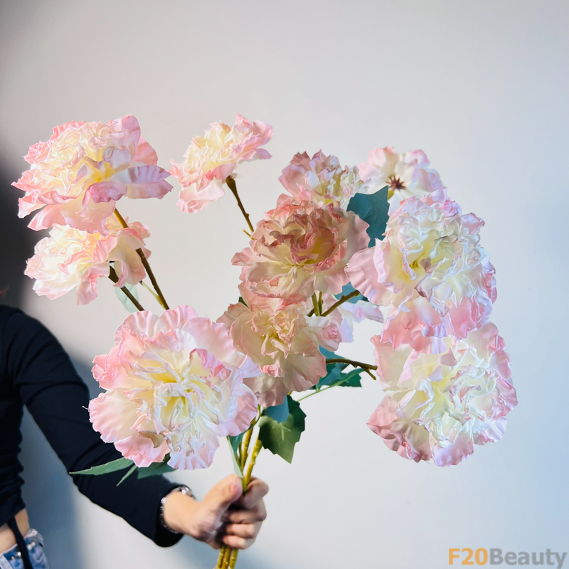 Hoa Hồng Muscosa 4 Bông Màu Hồng: Sự Sang Trọng và Phong Cách Trong Vườn