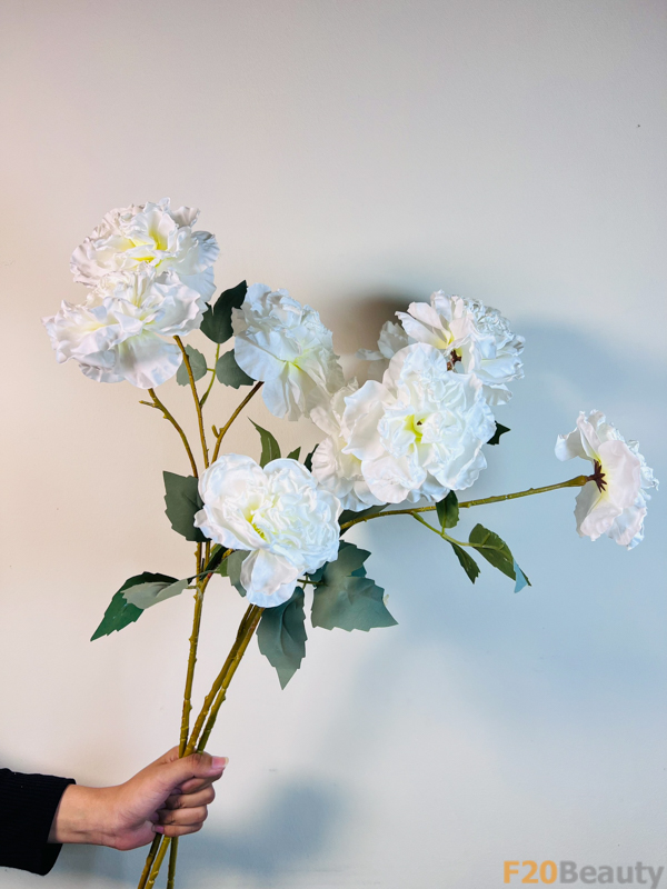 Phong Cách và Quyến Rũ: Hoa Hồng Muscosa 4 Bông Màu Trắng