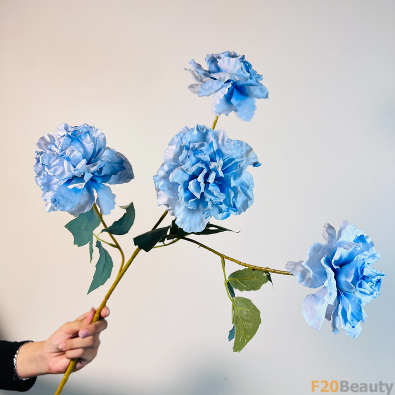 Nét Đẹp Tinh Tế: Hoa Hồng Muscosa 4 Bông Màu Xanh Mang Lối Riêng