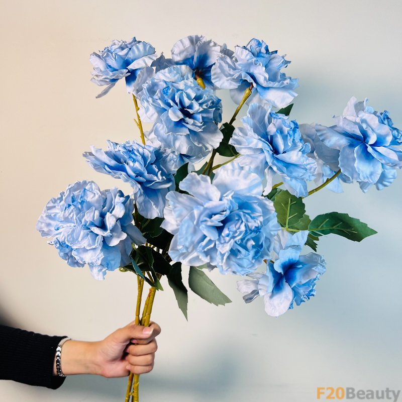 Hoa hồng Muscosa 4 bông xanh biển