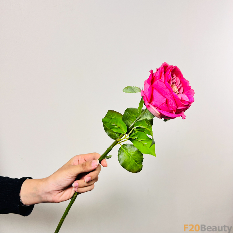 Sự Độc Đáo và Lôi Cuốn: Hoa Hồng David Austin Màu Hồng Đậm